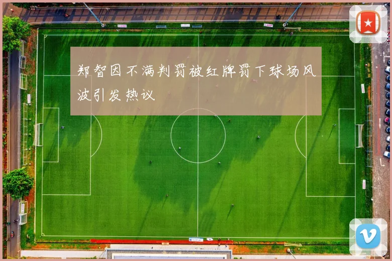 郑智因不满判罚被红牌罚下球场风波引发热议